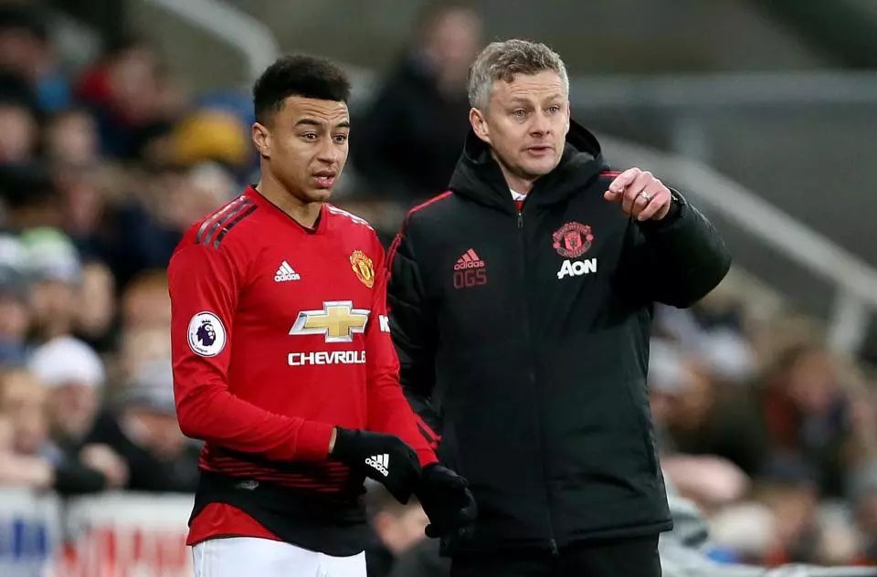 除了电解液 除了电解液